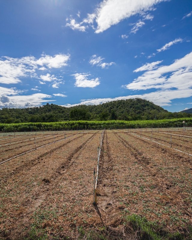 Agricultural/ Farm Lands